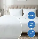 Nevada_02.webp