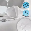 Serwetki Ekonomo w rożek